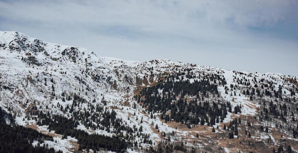 The flat, located on the 1st floor of the Meribel residence