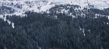 The duplex flat in Meribel