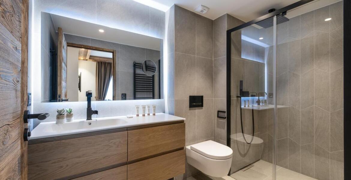 Apartment for rent in Meribel 