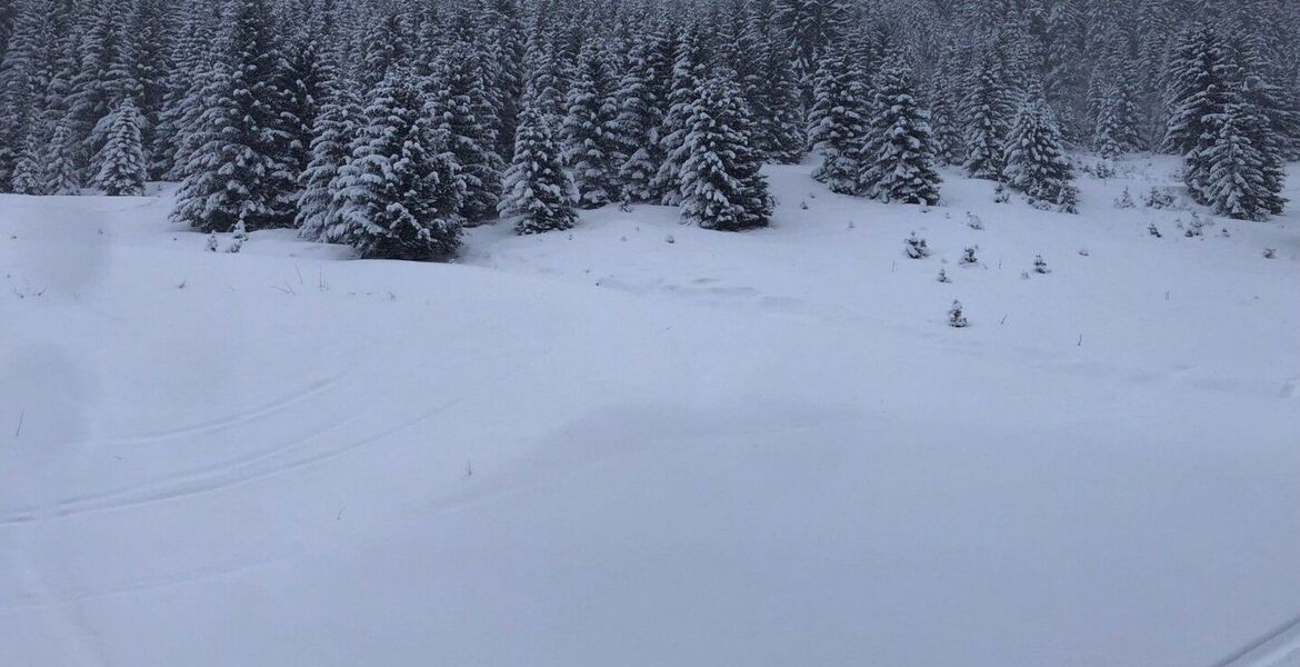 Attique à louer à courchevel 1650