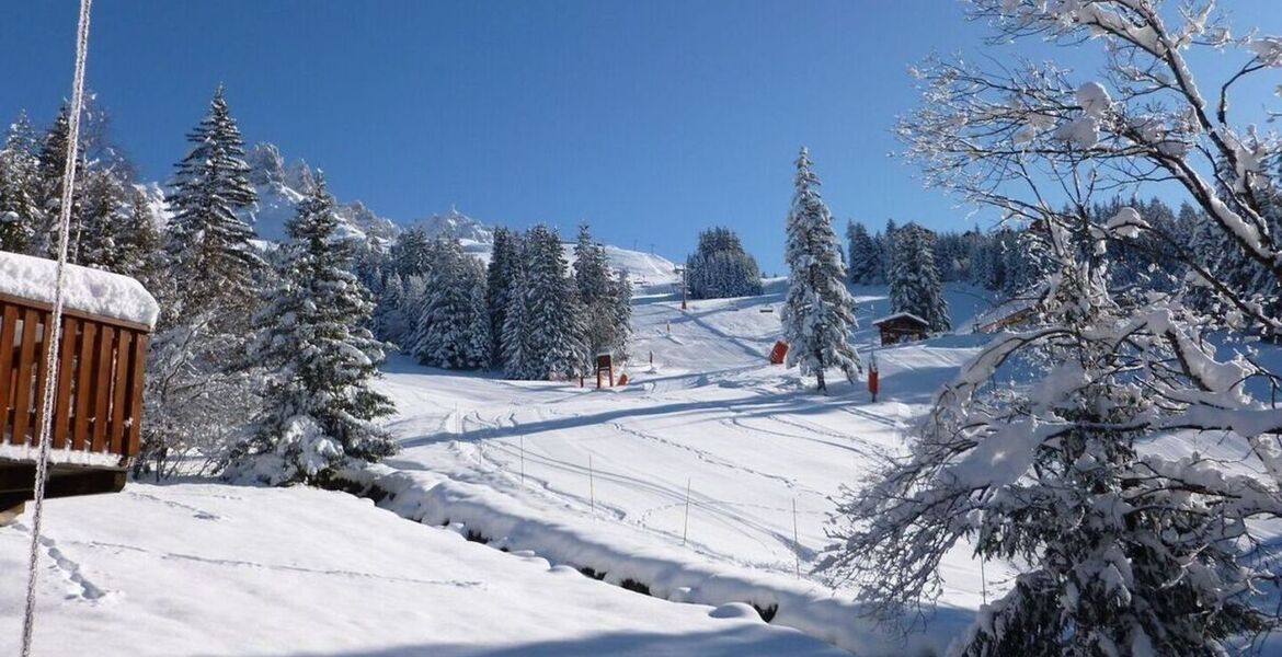 Chalet à louer à Méribel