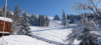 Chalet for rent in Meribel