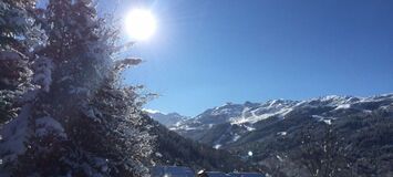 Chalet en alquiler en Méribel