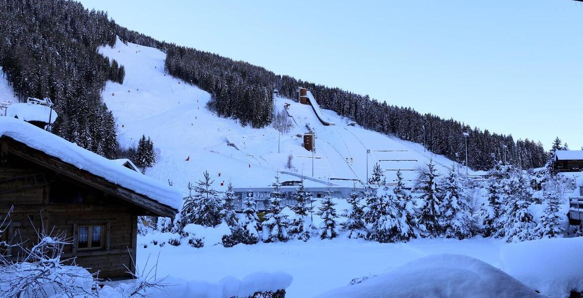 6 Pièces Chalet avec  230 m² équipé pour 10 personnes 