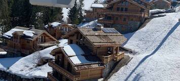 Luxury Chalet for 12 in La Tania 