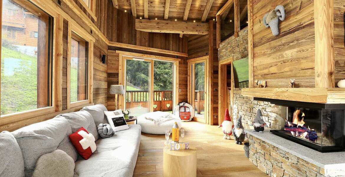 Luxury Chalet for 12 in La Tania 