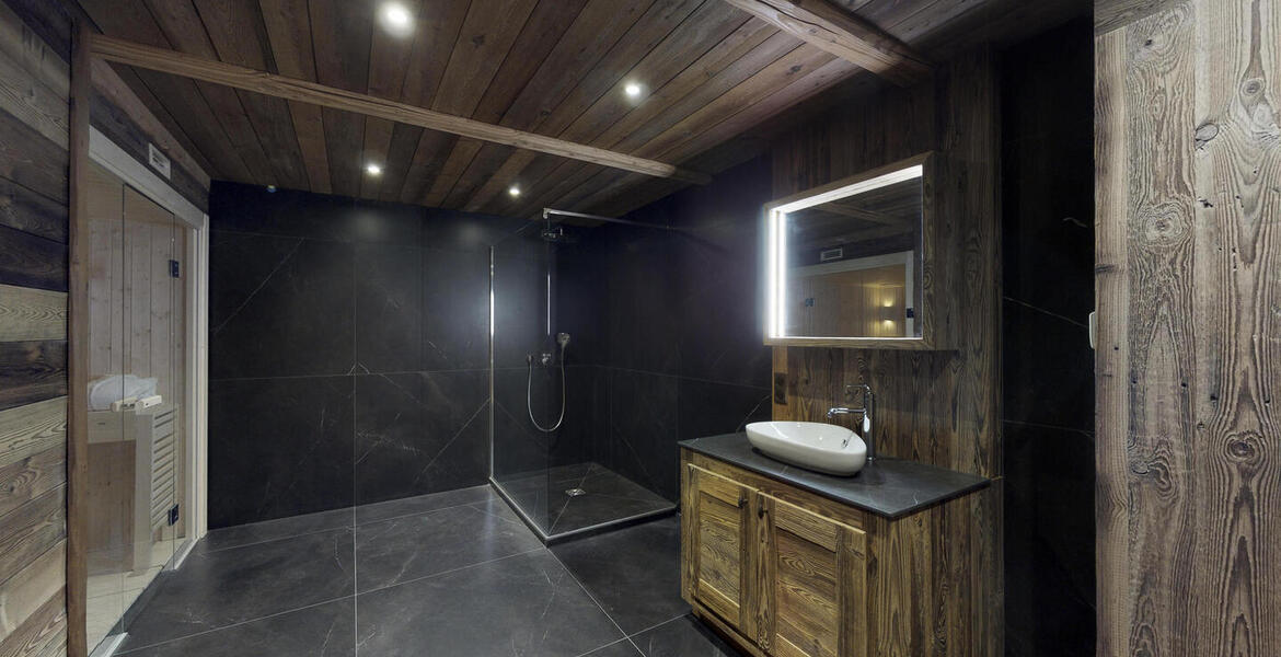 Luxury Chalet for 12 in La Tania 