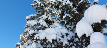 Luxury Chalet for 12 in La Tania 