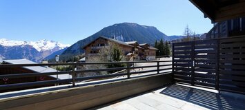 Chalet for rent in courchevel 1550