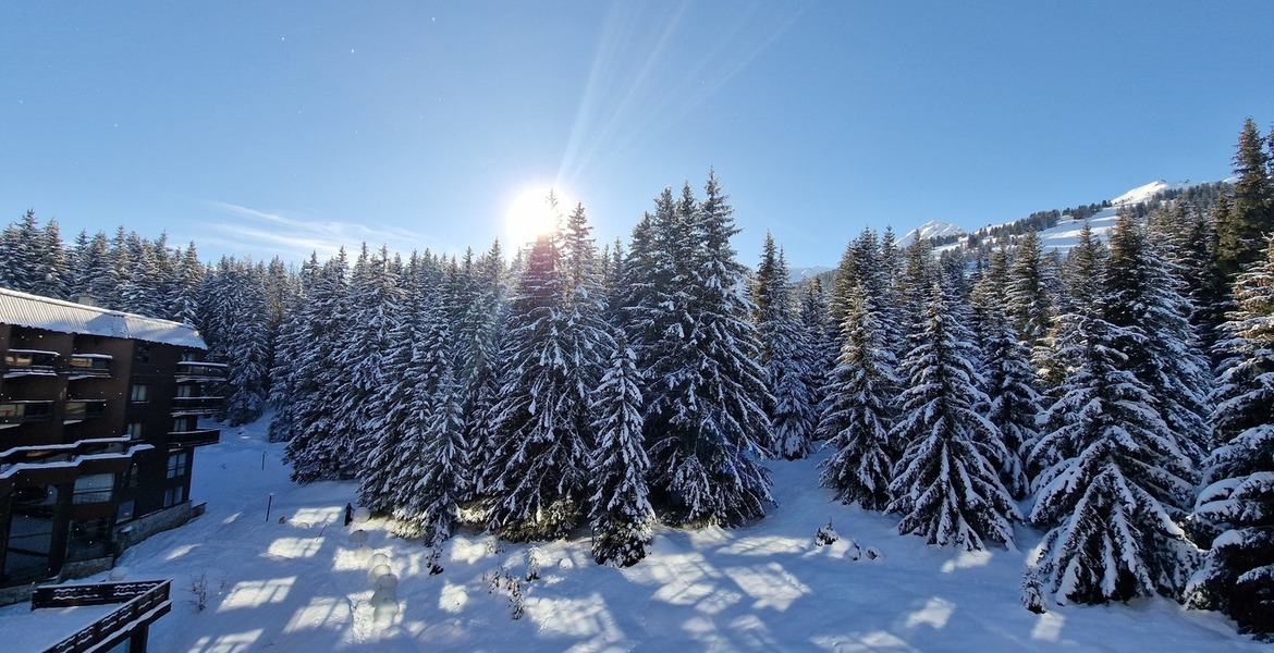 Apartment -Domaine du Jardin Alpin - Courchevel 1850