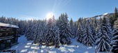 Apartment -Domaine du Jardin Alpin - Courchevel 1850