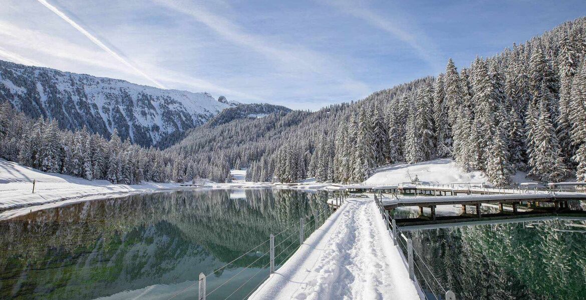 Appartement à Courchevel 1550