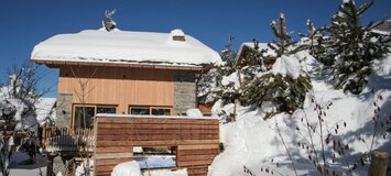 Chalet for rent in Meribel