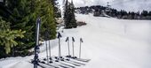 Chalet for rent in Courchevel 1850