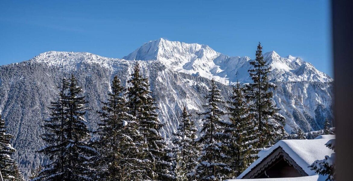 Chalet for rent in Courchevel 1850