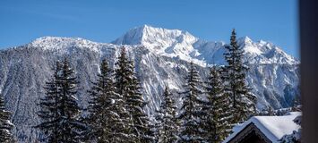 Chalet for rent in Courchevel 1850