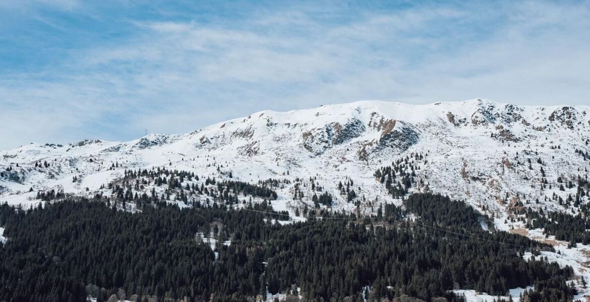 Duplex penthouse for rent Meribel