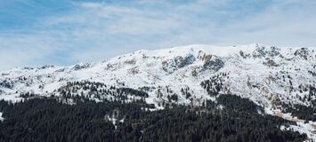 Duplex penthouse for rent Meribel