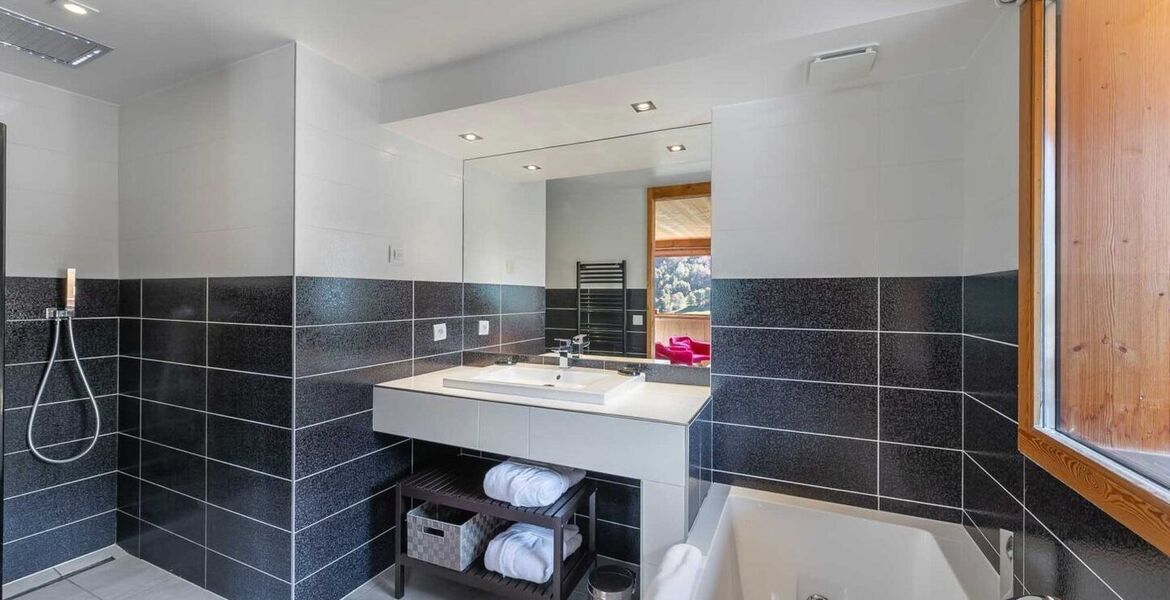 Chalet for rent in Meribel