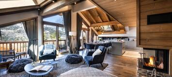 Penthouse for rent in Meribel