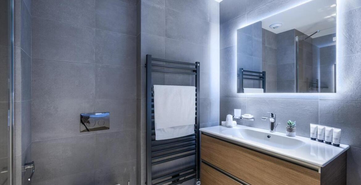 The duplex flat for rent in Meribel