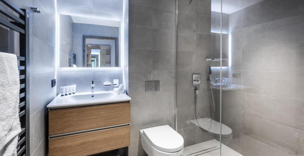 The duplex flat for rent in Meribel