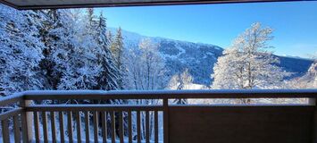 Apartment for rent in Meribel