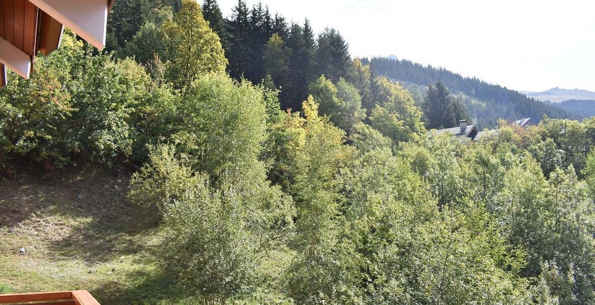 Apartment for rent in Meribel