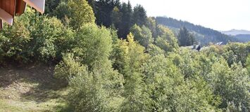 Apartment for rent in Meribel