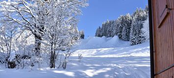 Apartment for rent in Meribel