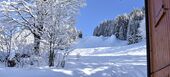 Apartment for rent in Meribel
