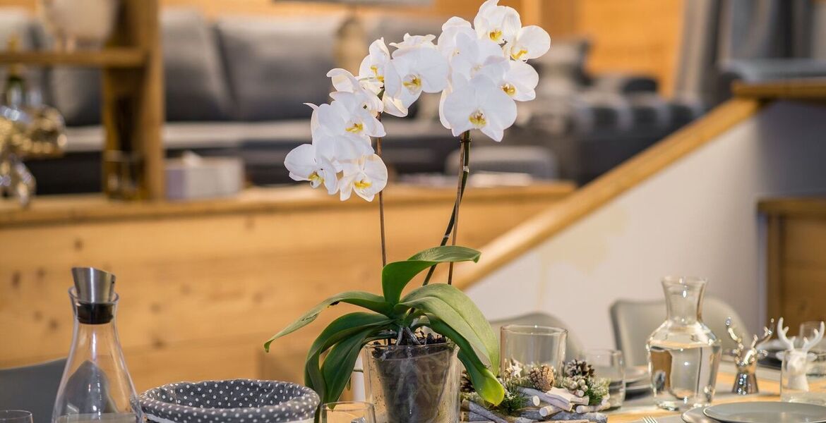 Apartment for rent in Courchevel 1850