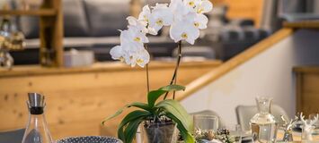 Apartment for rent in Courchevel 1850