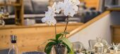 Apartment for rent in Courchevel 1850
