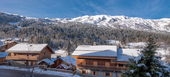 Apartment for rent in Meribel 