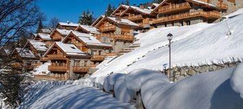 Penthouse for rent in Meribel