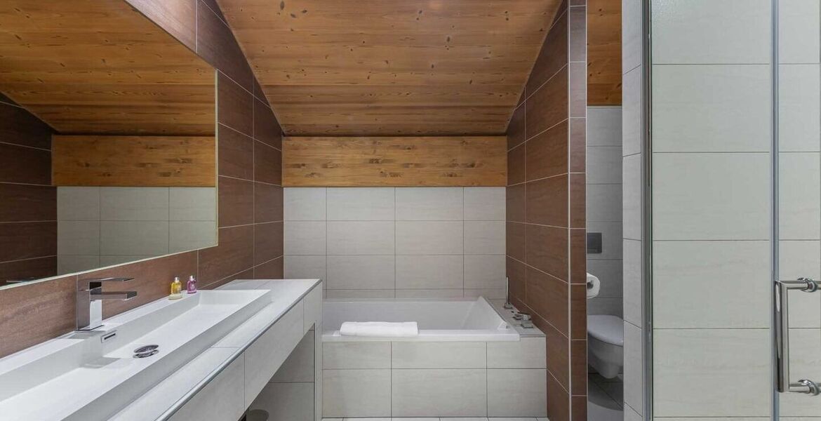 Chalet for rent in Meribel