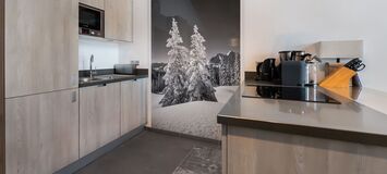 Luxury Duplex Apartment in Courchevel Moriond