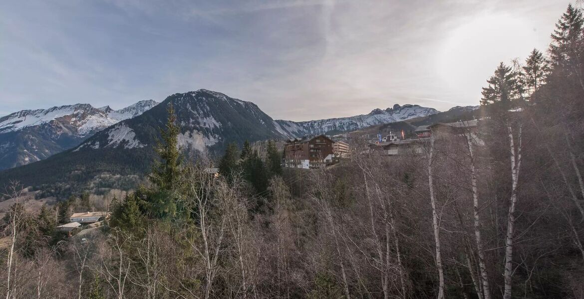 Chalet IN Courchevel 1550 Le Village, French Alps