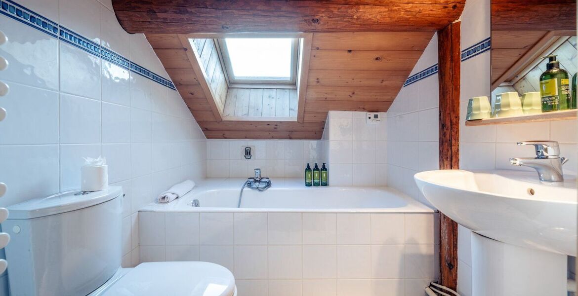 Chalet for rent in Meribel