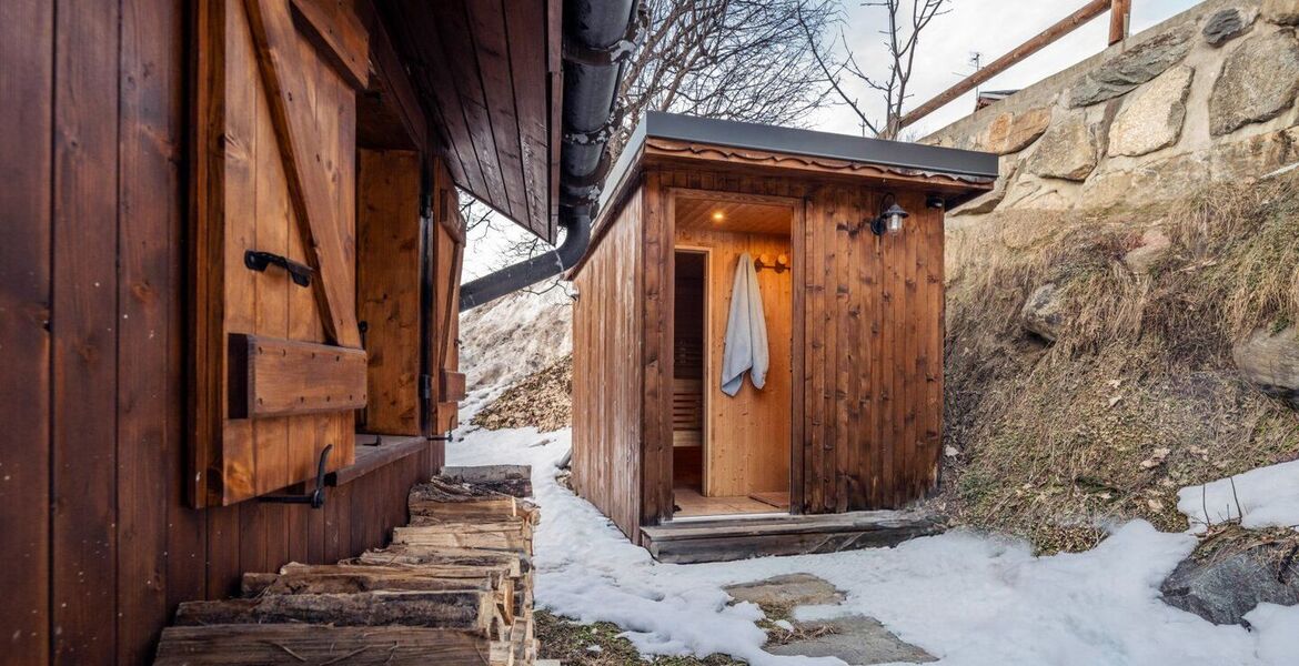 Chalet for rent in Meribel