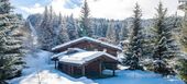 Chalet Savoyard Traditionnel avec une Ambiance
