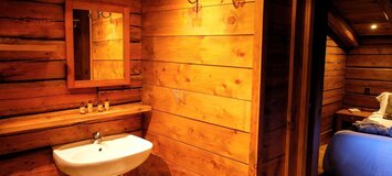 Ski Chalet in La Tania