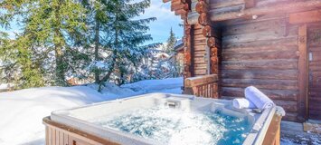Ski Chalet in La Tania