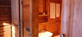 Ski Chalet in La Tania