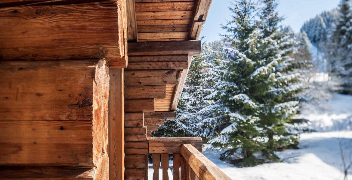 Ski Chalet in La Tania