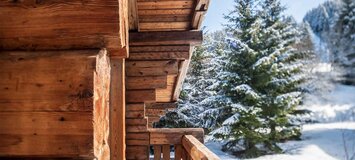 Ski Chalet in La Tania
