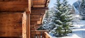 Ski Chalet in La Tania