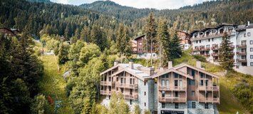 A chalet for rental is located in a Residence in La Tania