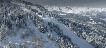 For Rent Suite 3 Bedrooms Hotel Services Courchevel 1850